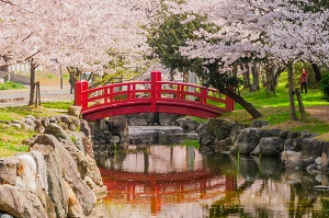 日本の歴史公園100選に選出「琴弾公園」の画像