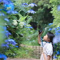 粟井神社の画像