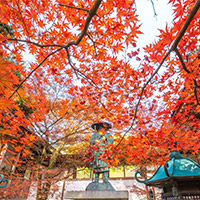 法泉寺の画像