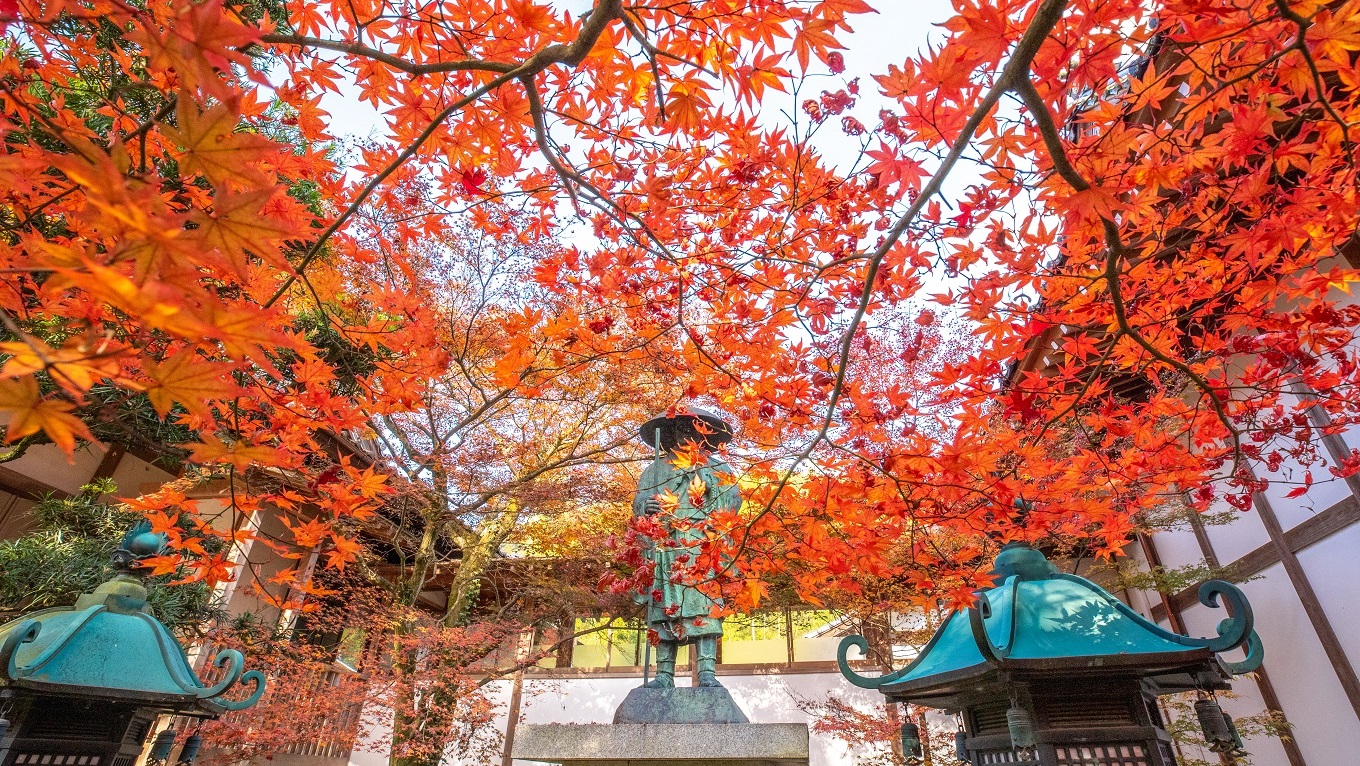 6 法泉寺