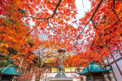 法泉寺もみじ祭りの画像