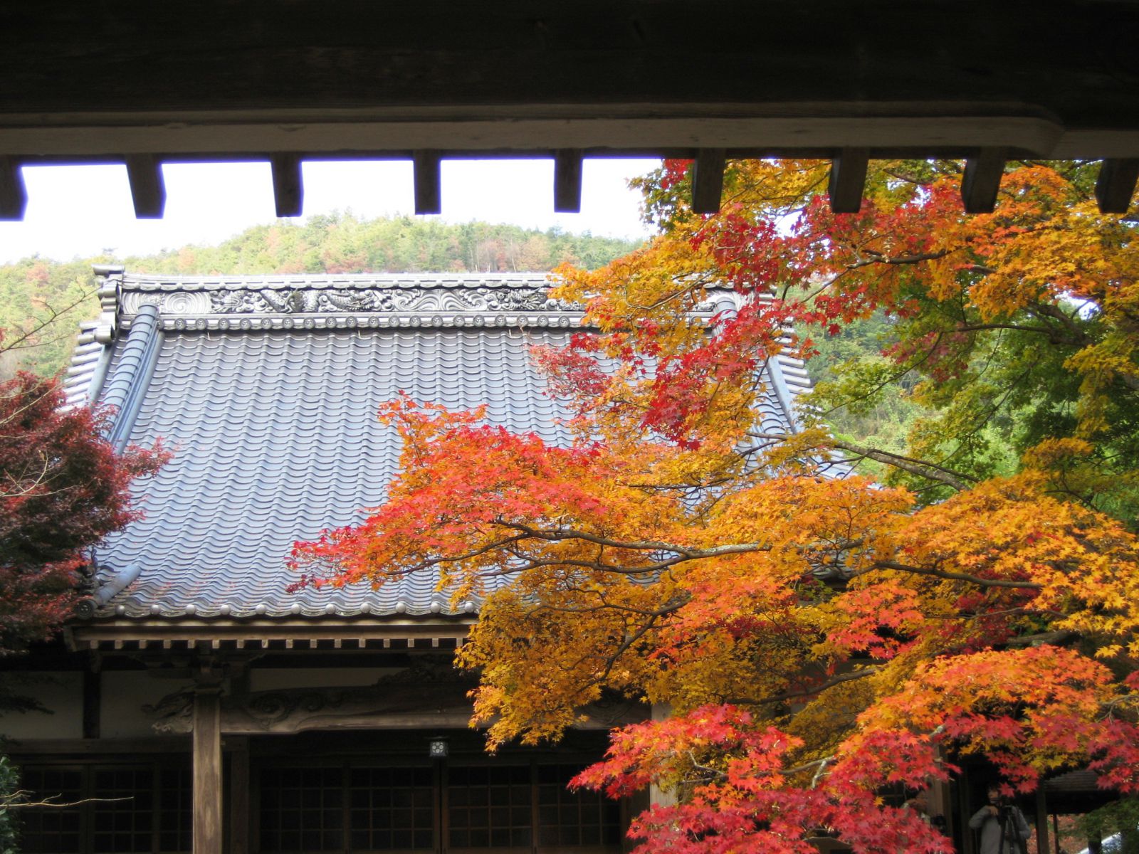 法泉寺の画像