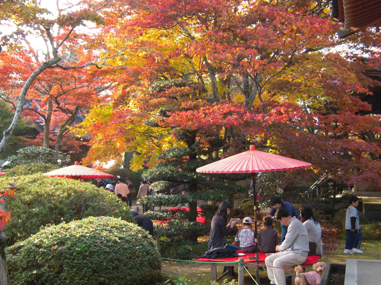 法泉寺　境内の画像