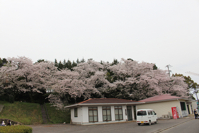 萩の丘公園