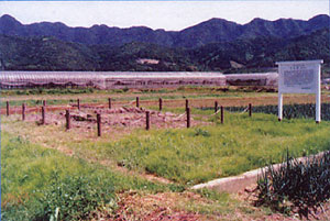 大木塚遺跡
