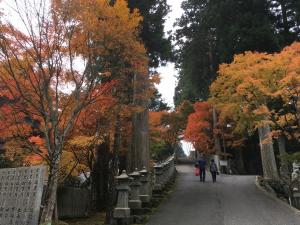 雲辺寺