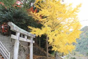 棒賀神社