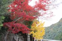 棒賀神社