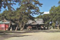 豊浜八幡神社