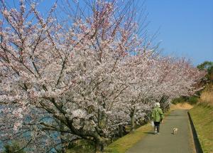 萩の丘公園