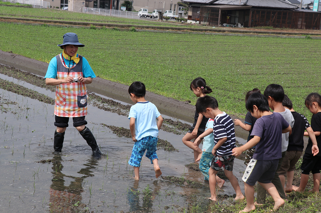 どろんこ遊び