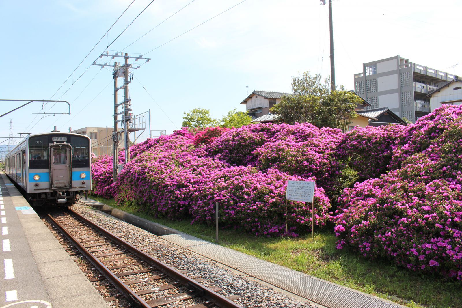 豊浜駅