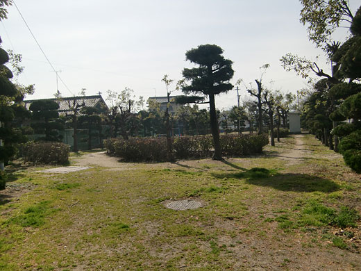 中央児童公園