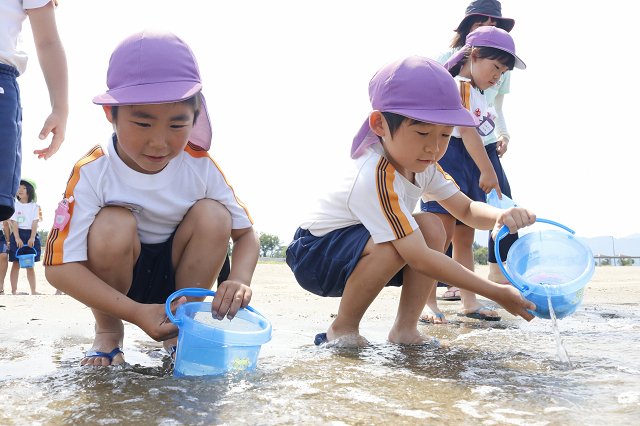 ヒラメの稚魚放流