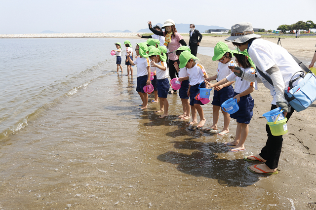 ヒラメの稚魚放流