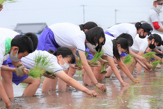 大野原中学校田植え