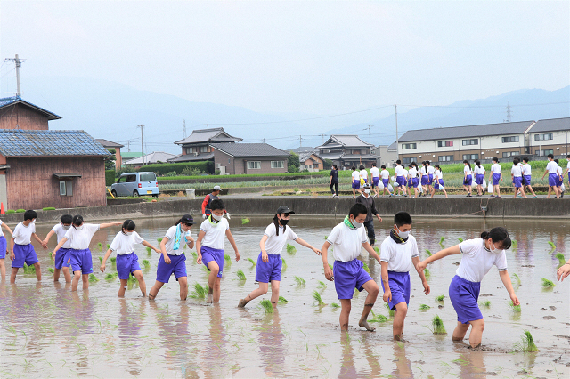 大野原中学校田植え