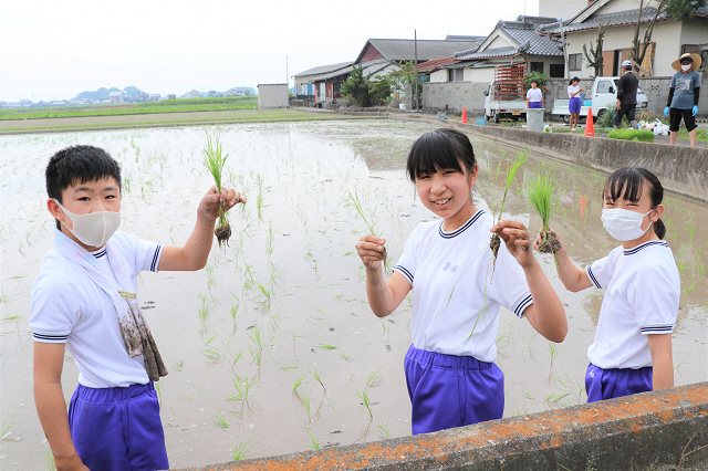 大野原中学校田植え