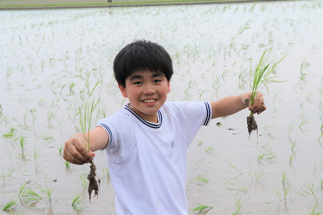 大野原中学校田植え