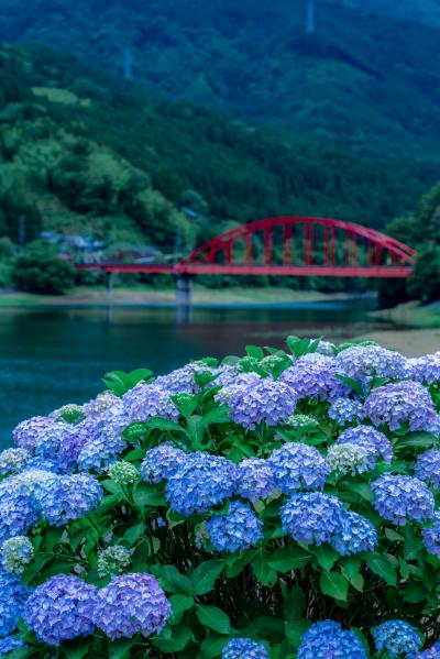 水無月の金砂湖