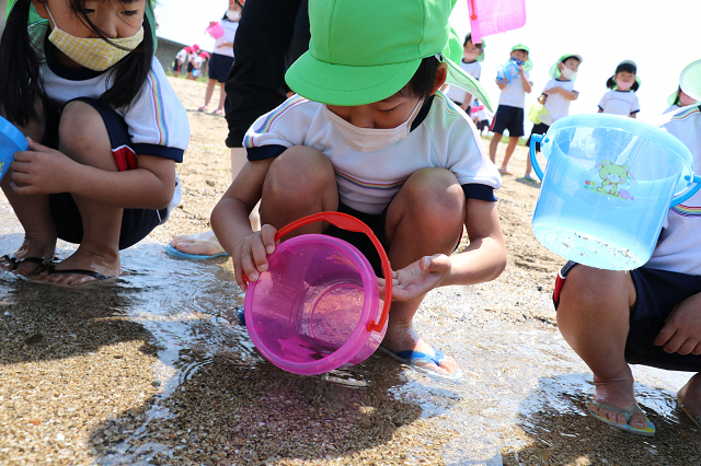 ヒラメを慎重に放流している幼稚園児