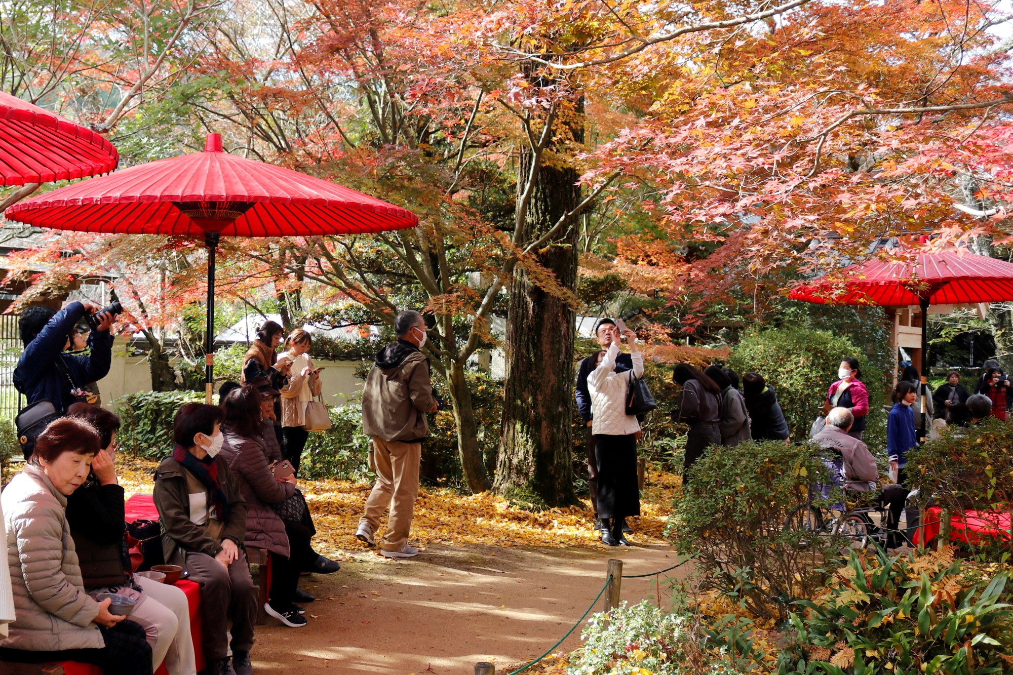 法泉寺もみじ祭り