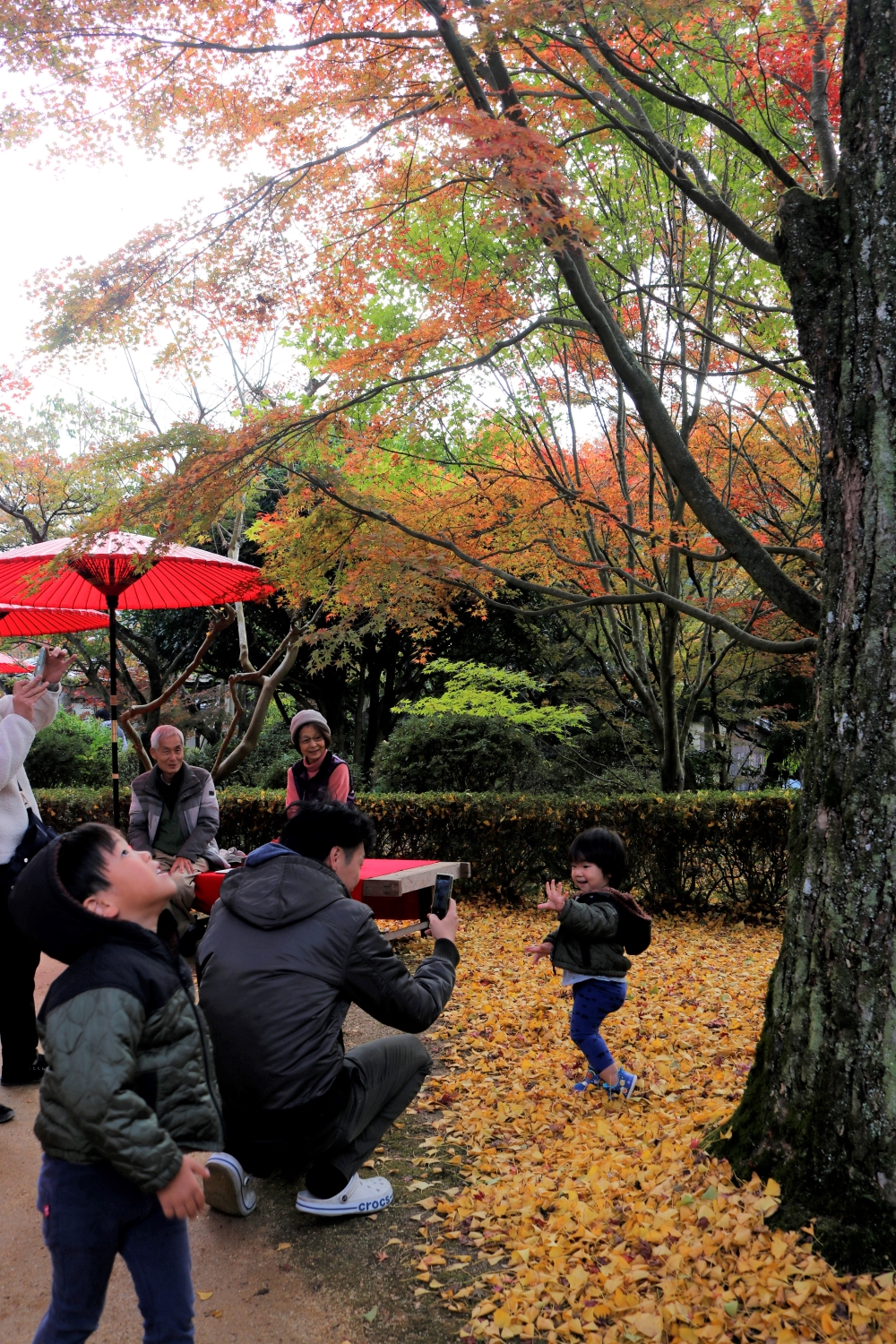 法泉寺もみじ祭り