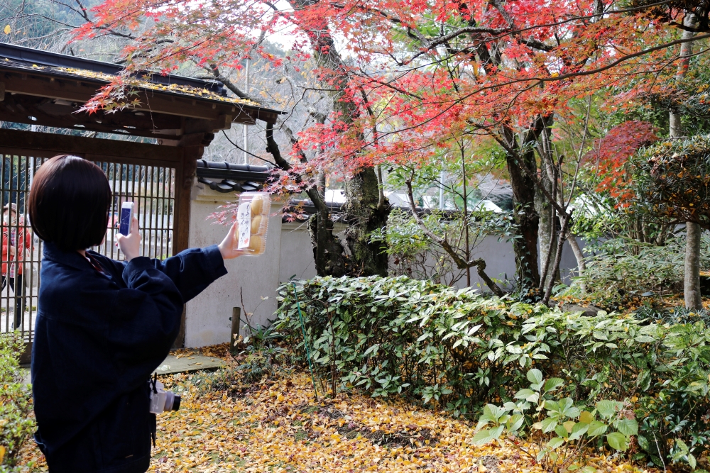 法泉寺もみじ祭り