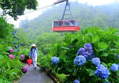 雲辺寺