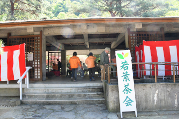 若葉茶会の様子