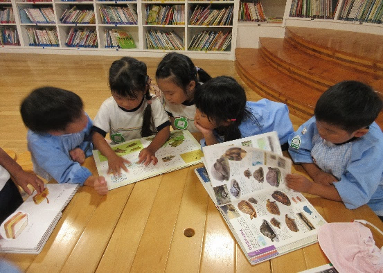 図鑑を見る幼児