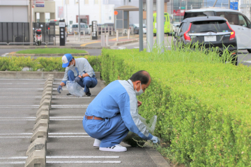 ビルメンテナンス協会の清掃の様子