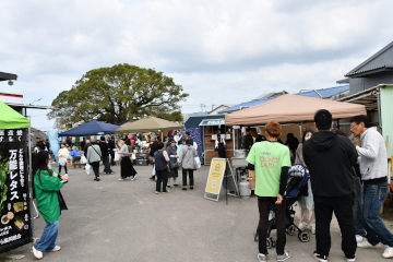 ロメインびらきの様子