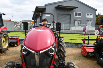 ロメインびらきの様子