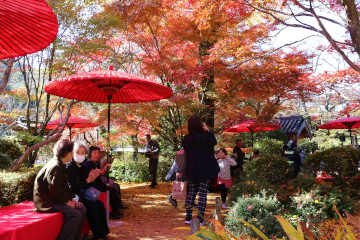 鮮やかに染まった境内で思い思いに過ごす人々