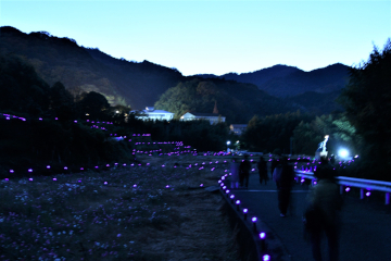 五郷棚田ライトアップのようす