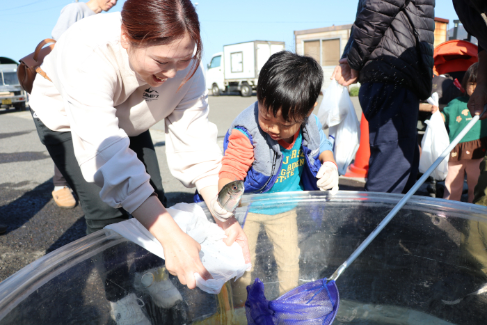 魚のつかみ取り
