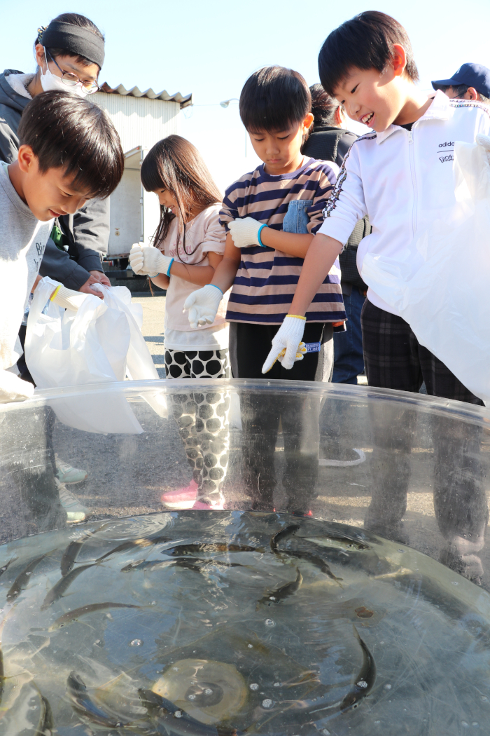 どの魚にしようかな