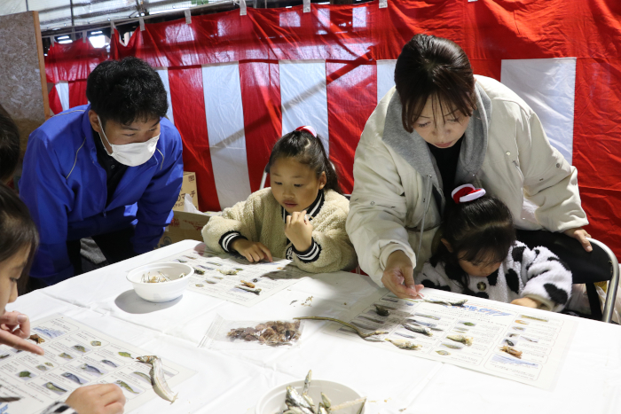 いりこモンスターを探せ！に挑戦