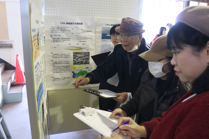 いりこクイズに挑戦