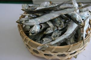 籠入り伊吹いりこ