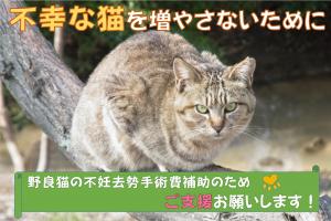 GCFプロジェクト画像