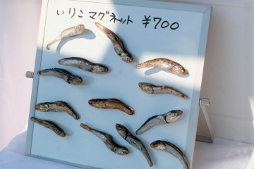 銭形いろどり市のようす