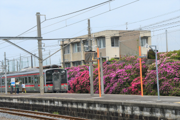 豊浜駅つつじ祭りのようす
