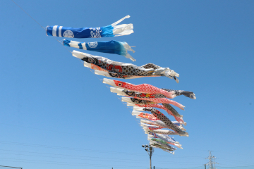 ふるさと学芸館　端午の節句展