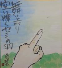 舞い上がり空に輝くセミの羽