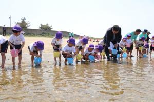 ヒラメの稚魚放流