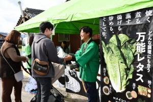 ロメインびらきの様子